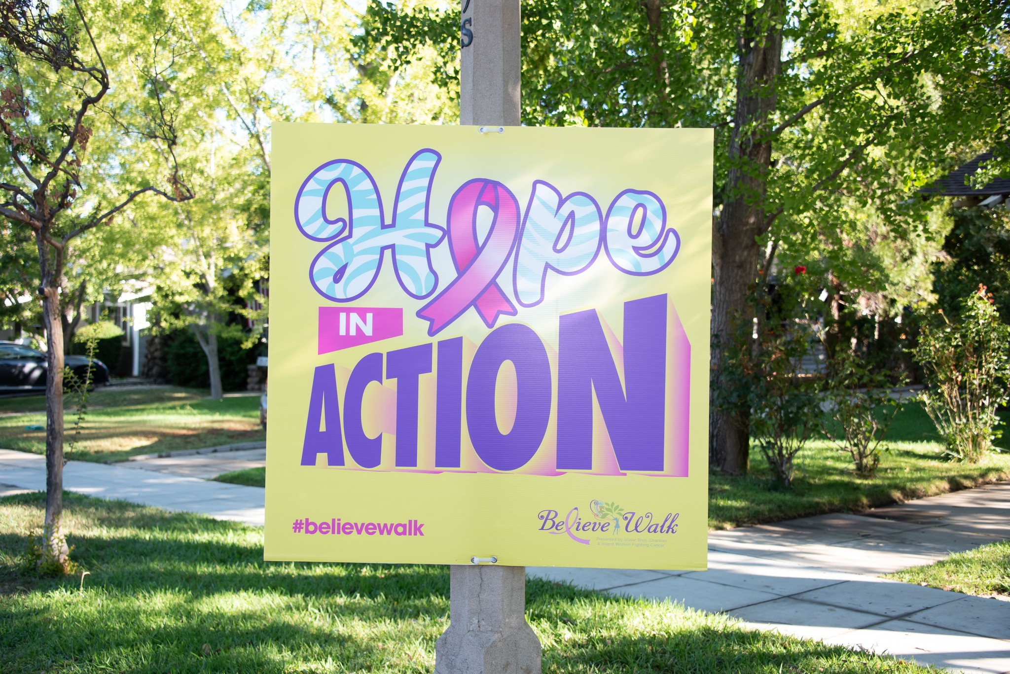 Operations and offices of 3RD MARCH LIMITED